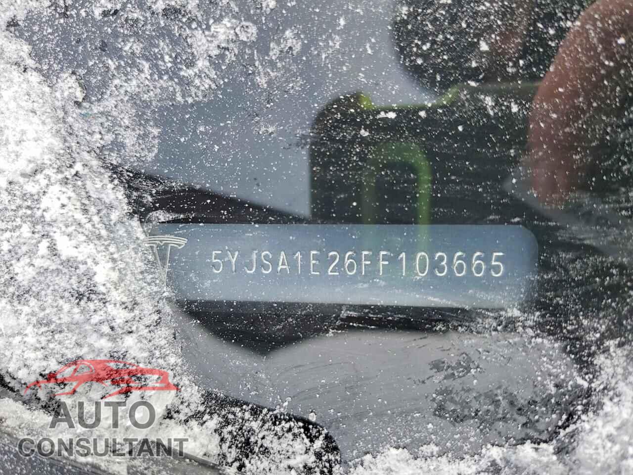 TESLA MODEL S 2015 - 5YJSA1E26FF103665