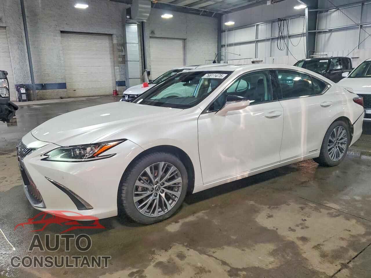LEXUS ES300 2020 - 58AD21B19LU007828
