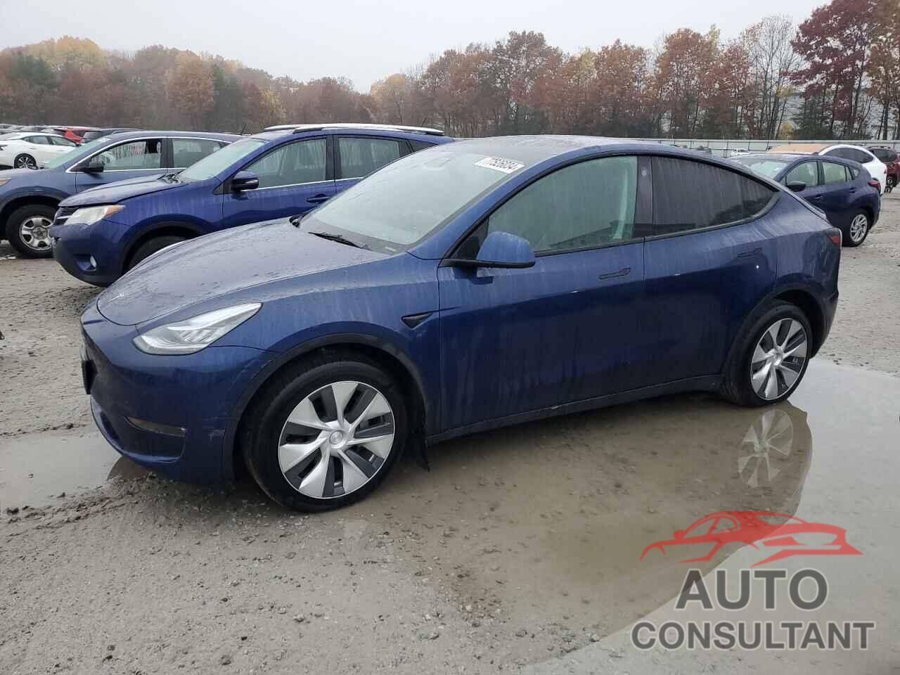 TESLA MODEL Y 2021 - 5YJYGDEE0MF245009