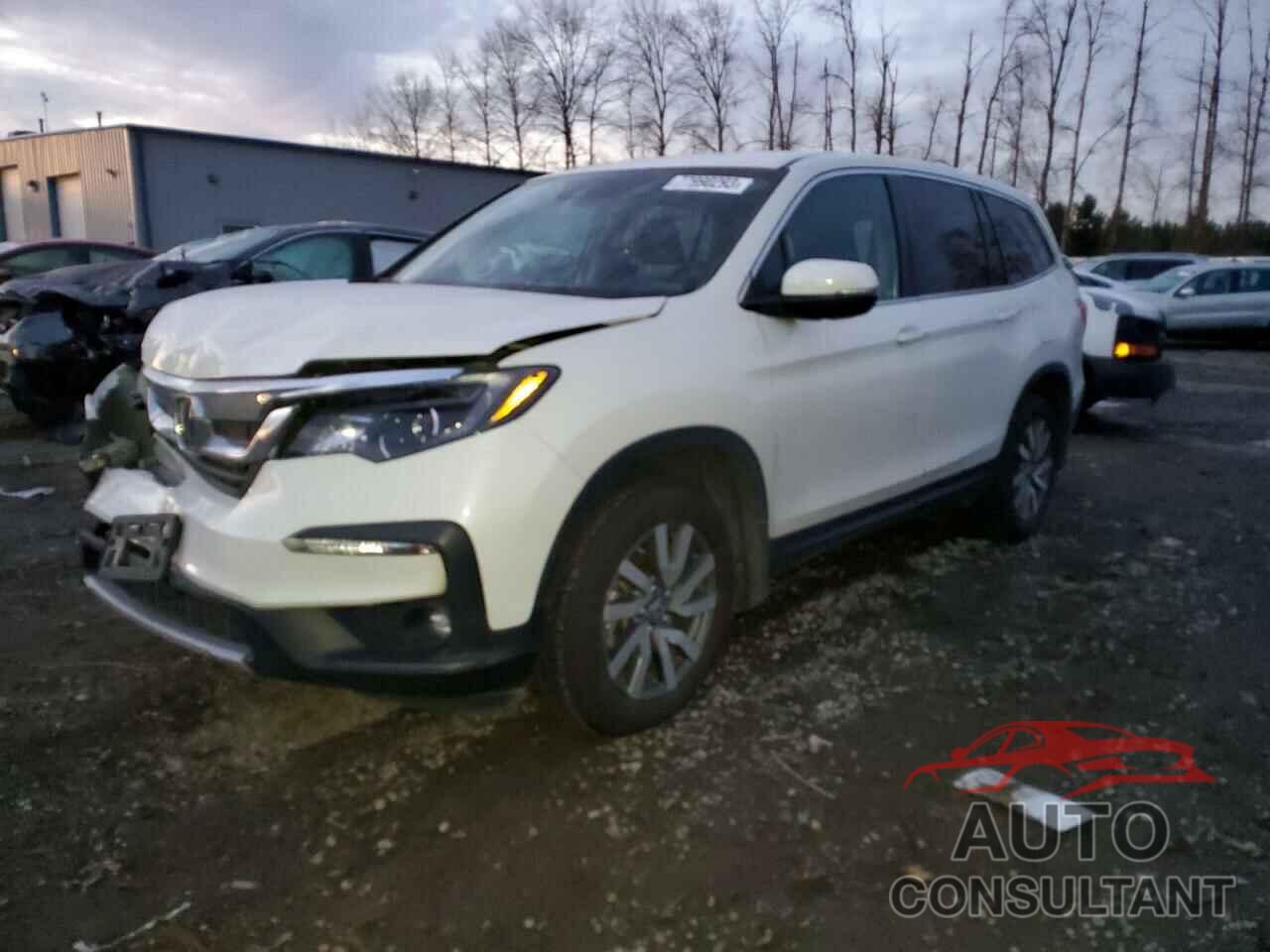 HONDA PILOT 2019 - 5FNYF6H36KB042423