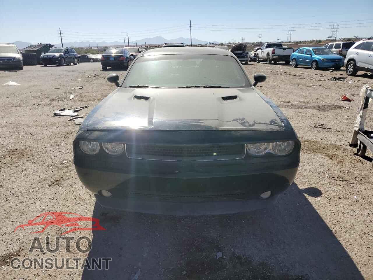 DODGE CHALLENGER 2013 - 2C3CDYAG9DH573951