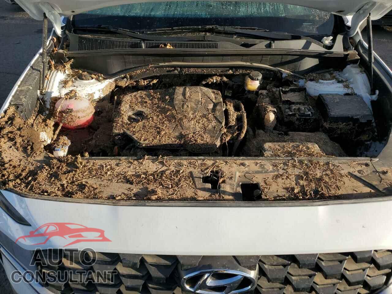 HYUNDAI SANTA FE 2023 - 5NMS14AJ6PH657903