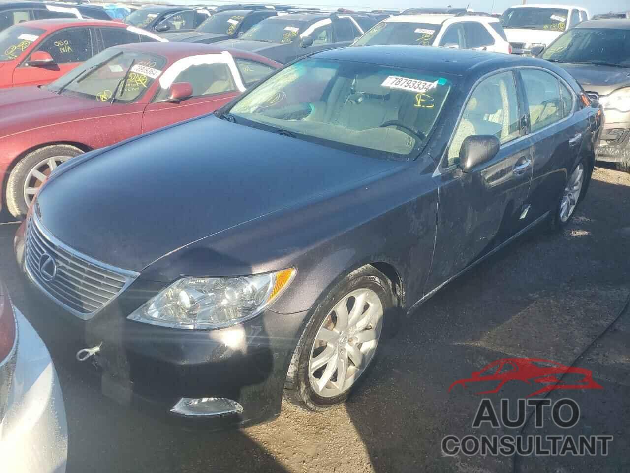 LEXUS LS460 2009 - JTHCL46FX95001257