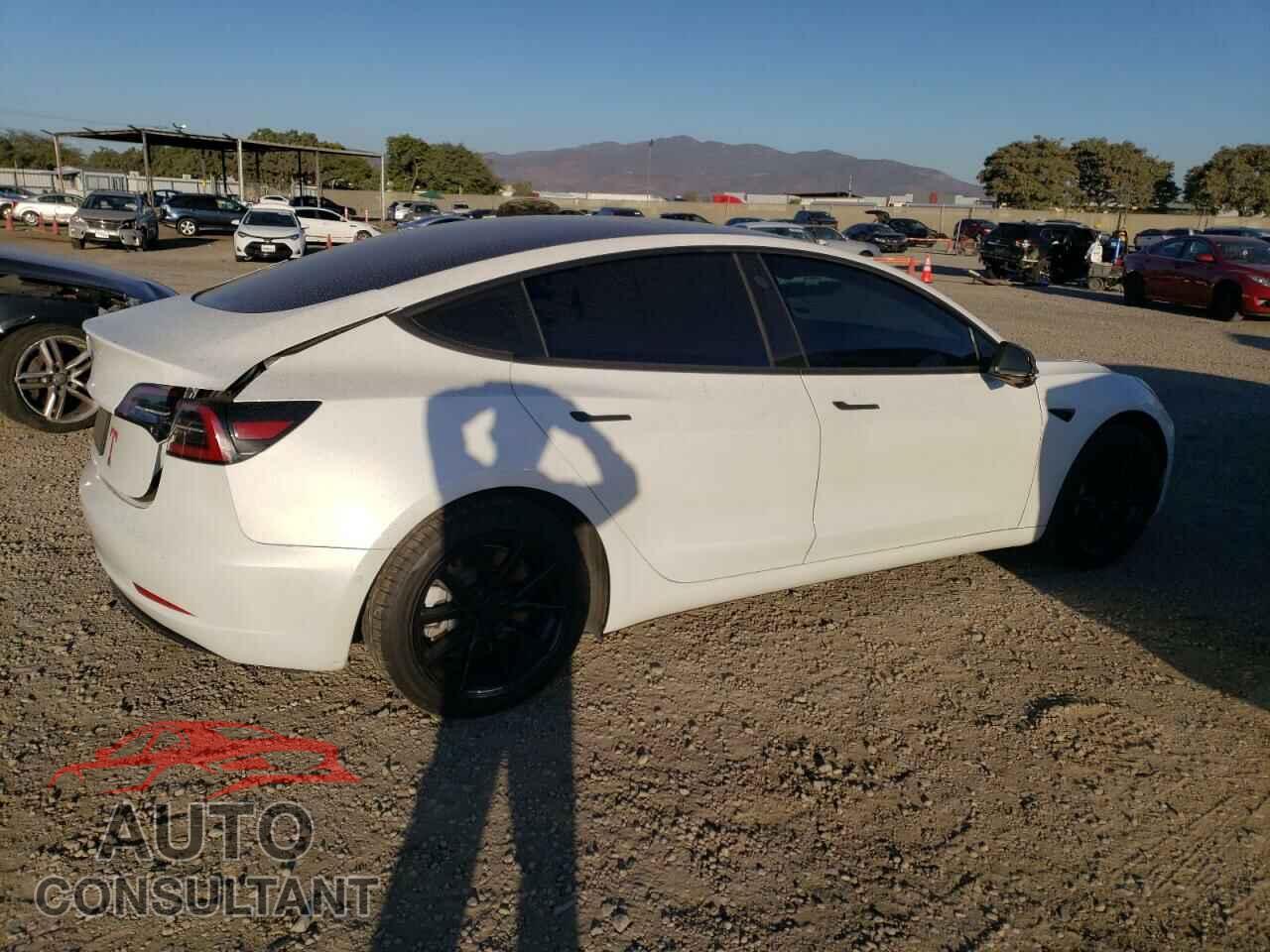 TESLA MODEL 3 2019 - 5YJ3E1EA1KF464683