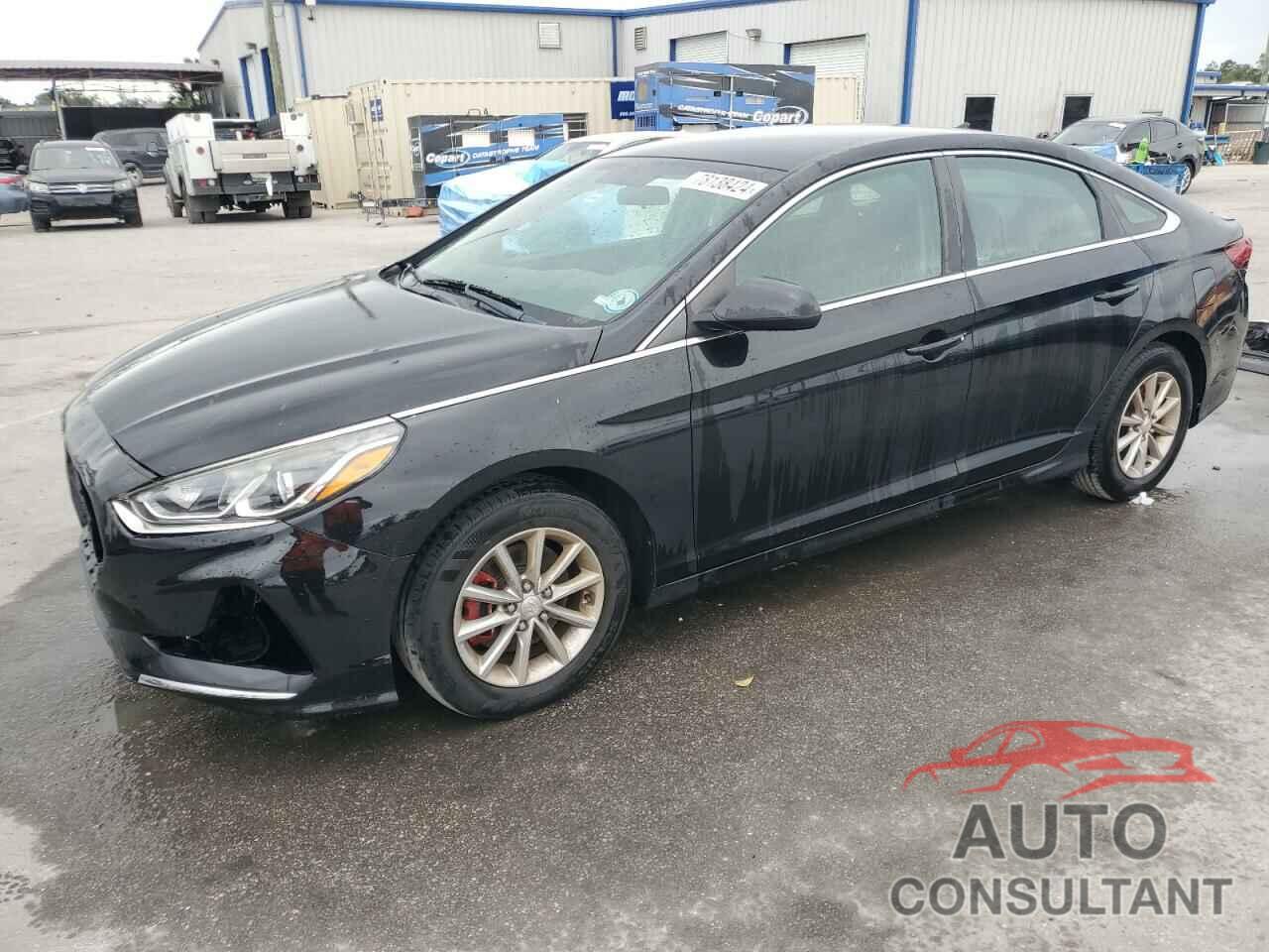 HYUNDAI SONATA 2019 - 5NPE24AF6KH755752