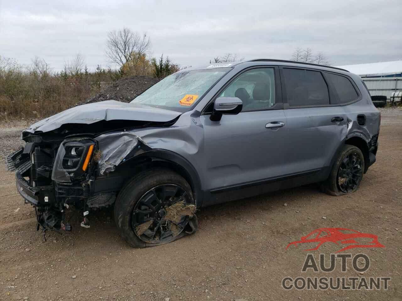 KIA TELLURIDE 2021 - 5XYP5DHC5MG135870