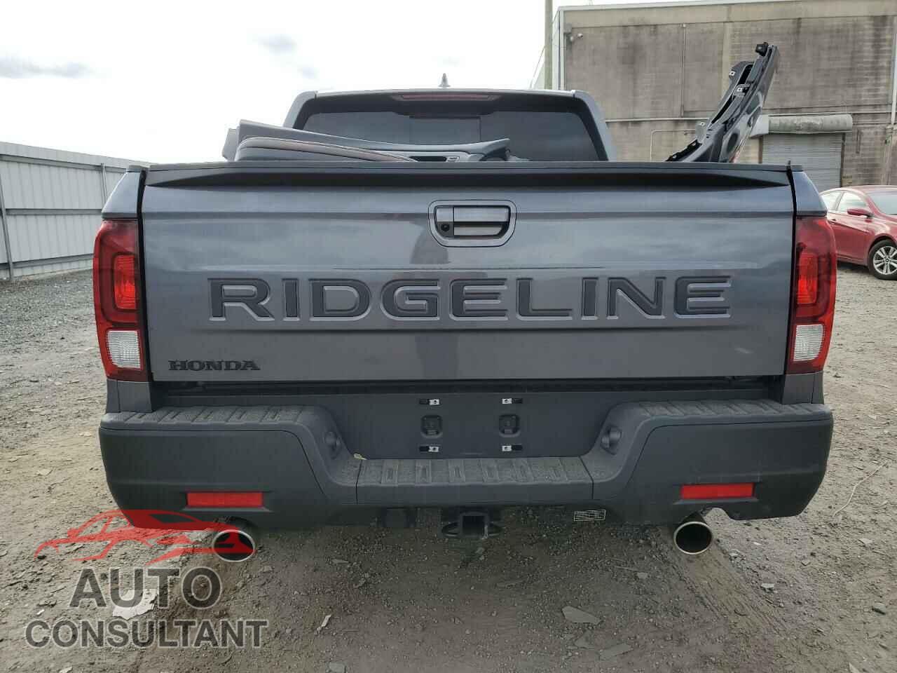 HONDA RIDGELINE 2024 - 5FPYK3F53RB018452