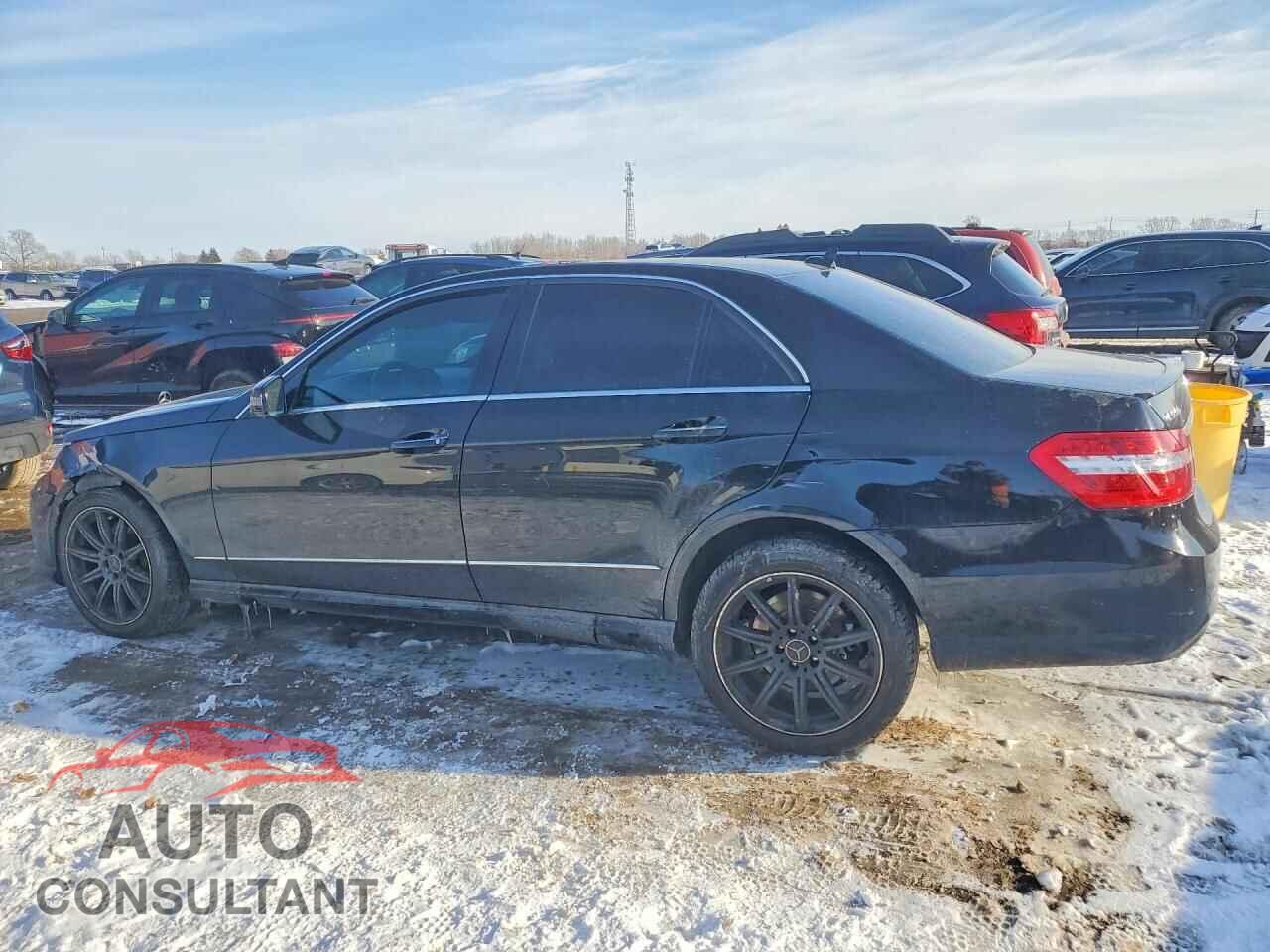 MERCEDES-BENZ E-CLASS 2011 - WDDHF9AB9BA384756