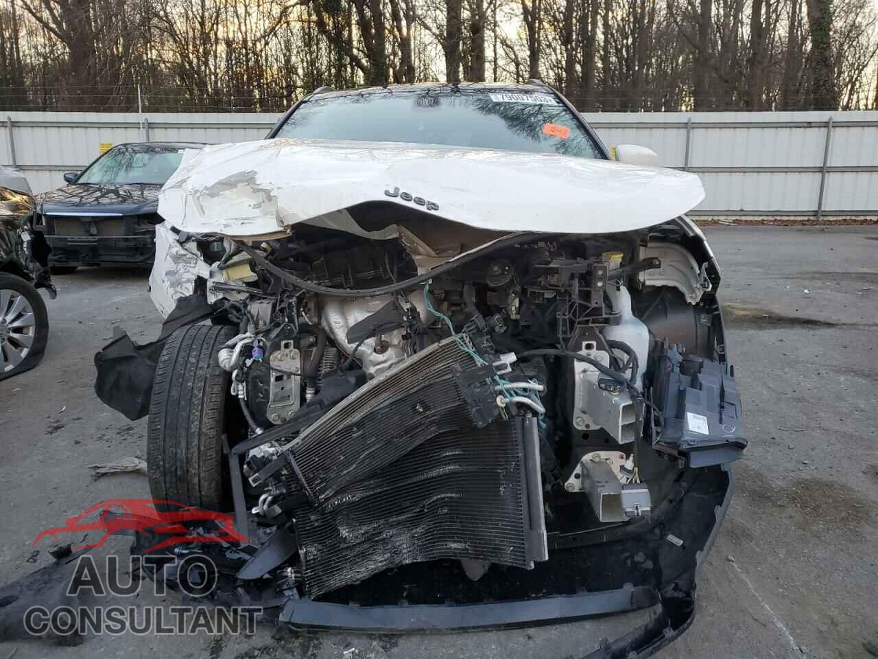 JEEP COMPASS 2019 - 3C4NJDBB0KT598993