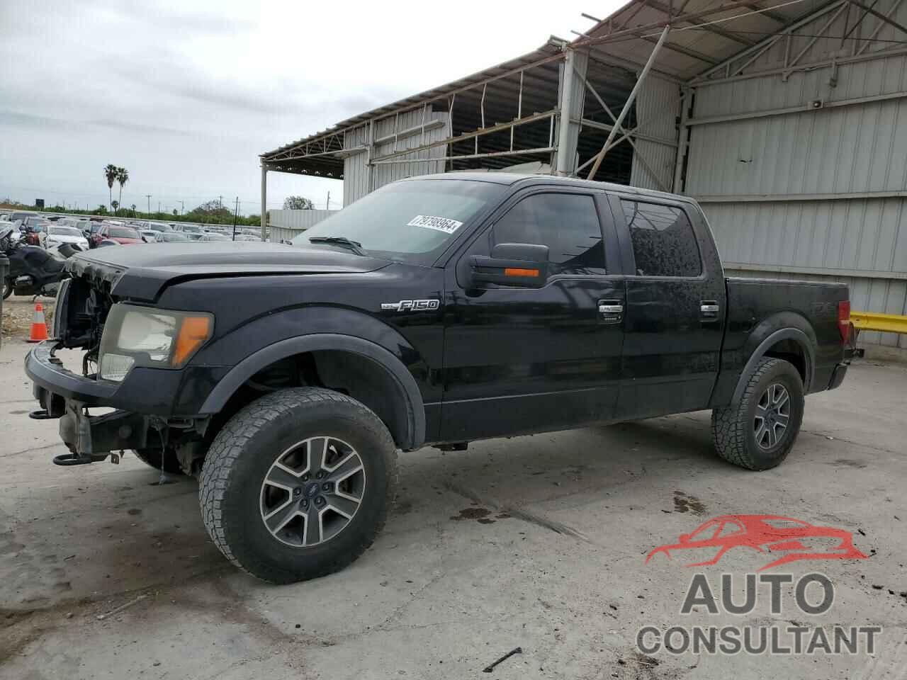 FORD F-150 2011 - 1FTFW1EF4BFD34091