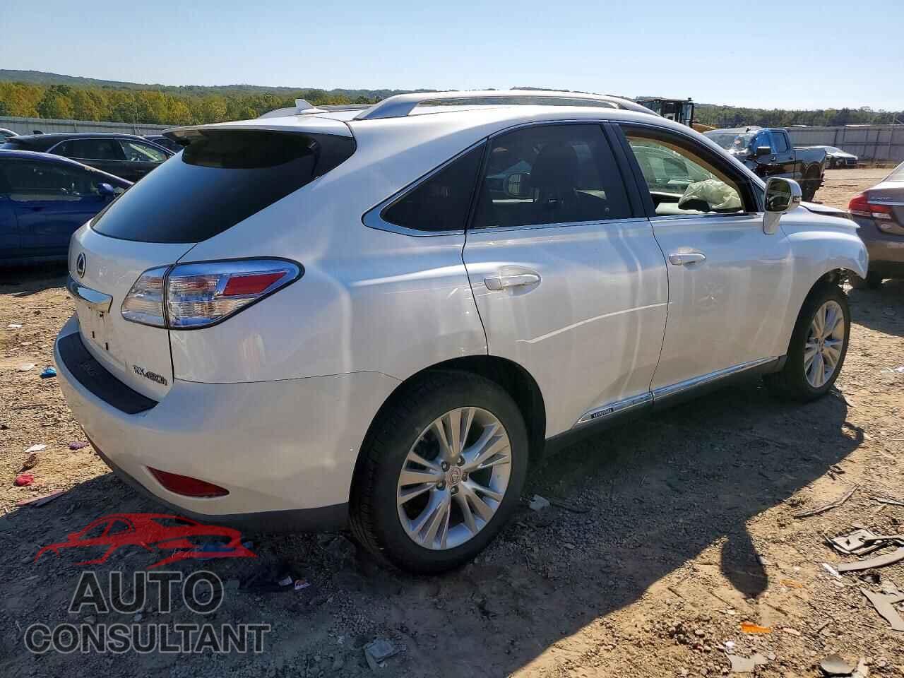 LEXUS RX450 2010 - JTJBC1BA0A2019887