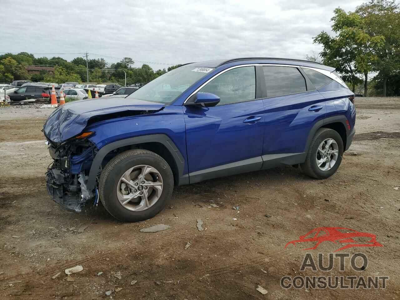 HYUNDAI TUCSON 2024 - 5NMJBCDE8RH300758