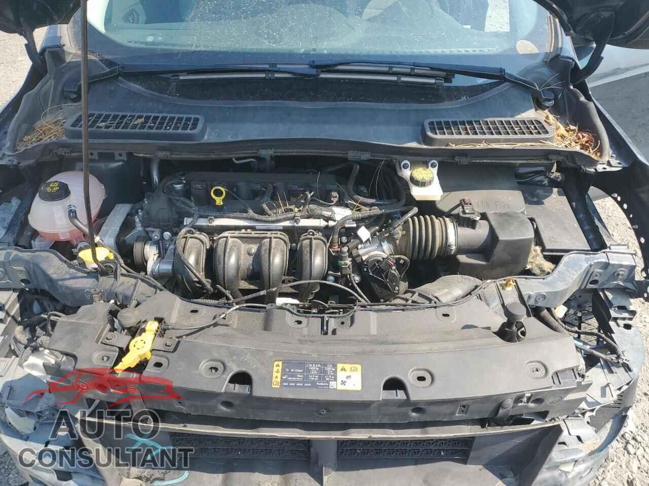 FORD ESCAPE 2019 - 1FMCU0F76KUC26962