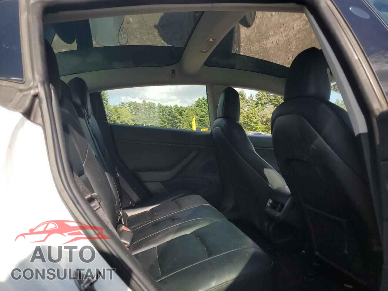 TESLA MODEL 3 2019 - 5YJ3E1EB8KF511894