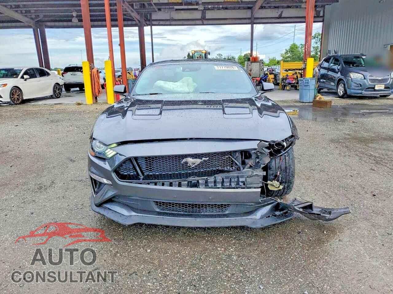 FORD MUSTANG 2019 - 1FA6P8CF1K5194800