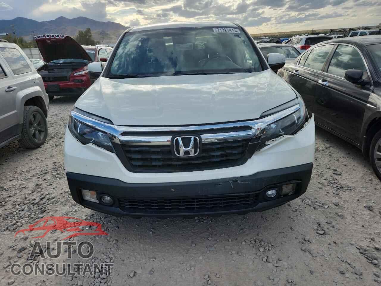 HONDA RIDGELINE 2019 - 5FPYK3F69KB002688