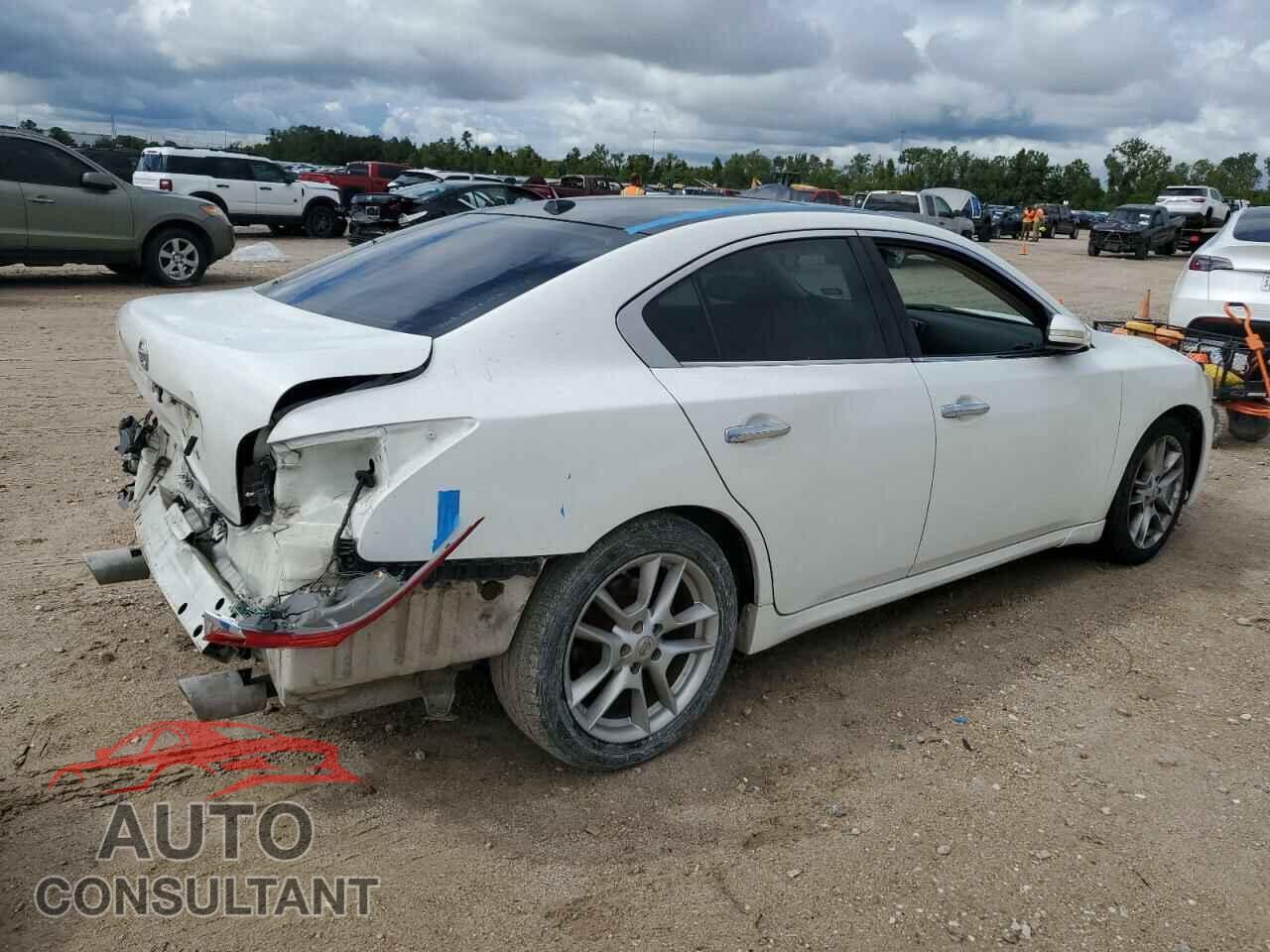 NISSAN MAXIMA 2011 - 1N4AA5AP6BC815501