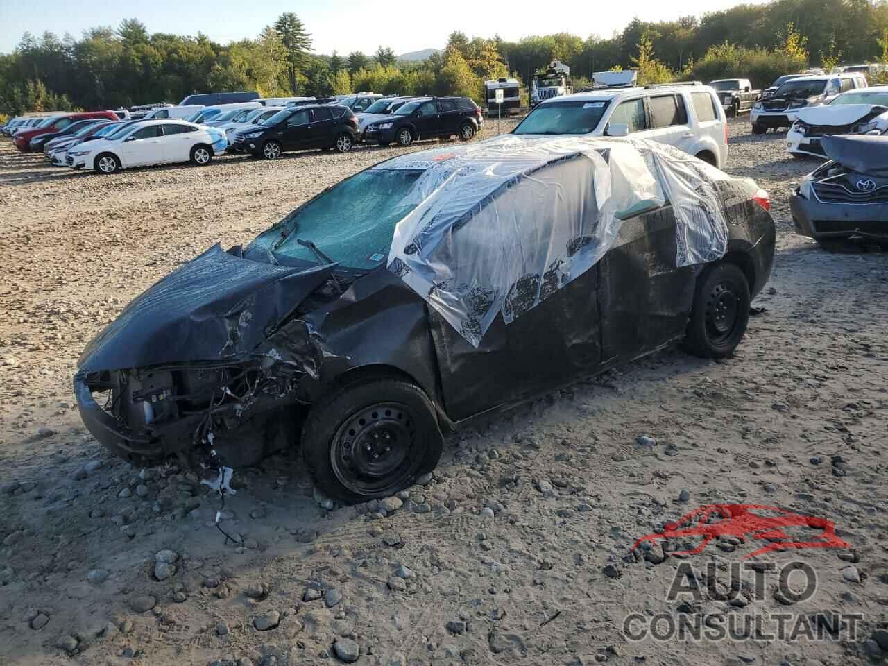 TOYOTA COROLLA 2016 - 2T1BURHE8GC668131