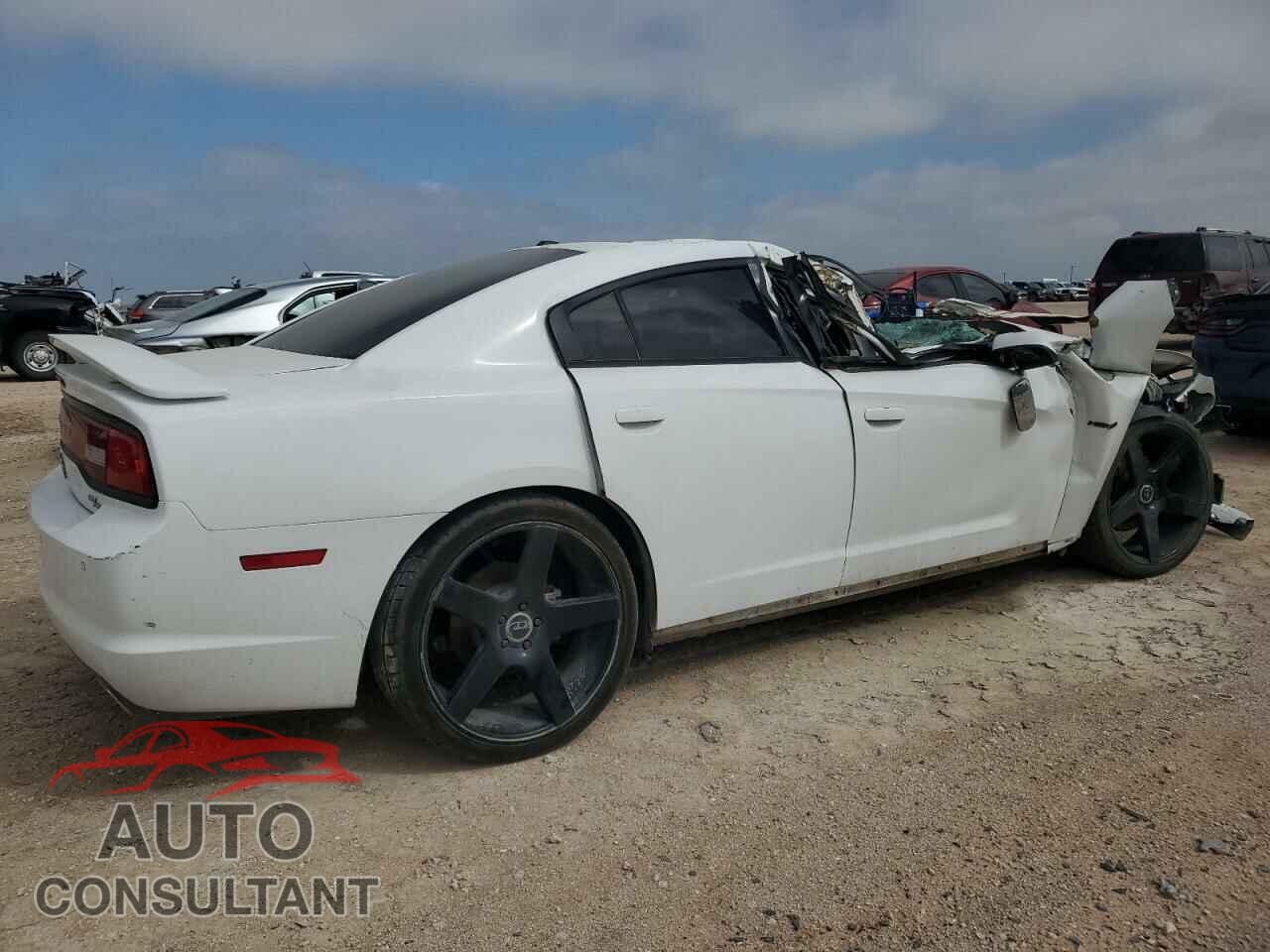 DODGE CHARGER 2014 - 2C3CDXCTXEH250577