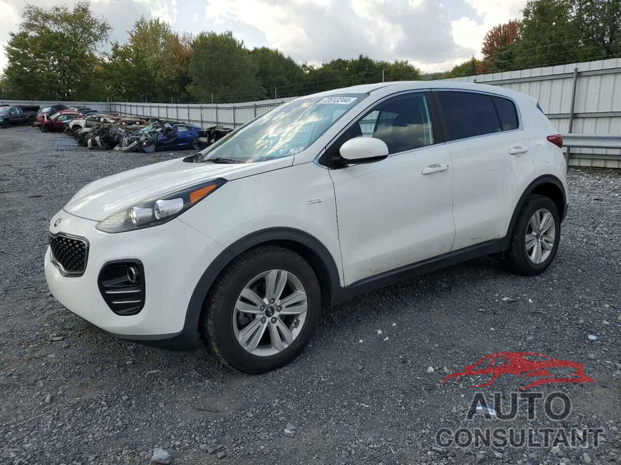 KIA SPORTAGE 2019 - KNDPMCAC6K7504379