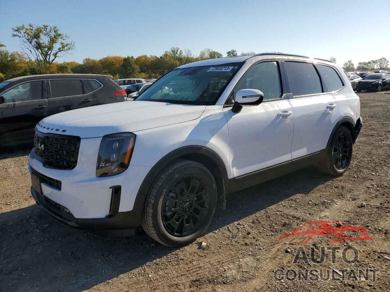 KIA TELLURIDE 2022 - 5XYP5DHC4NG311888