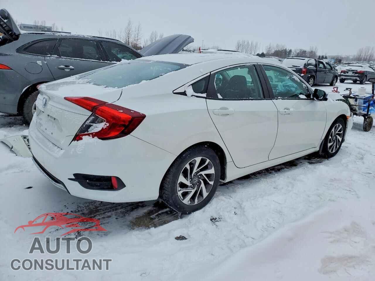 HONDA CIVIC 2019 - 2HGFC2F72KH017660