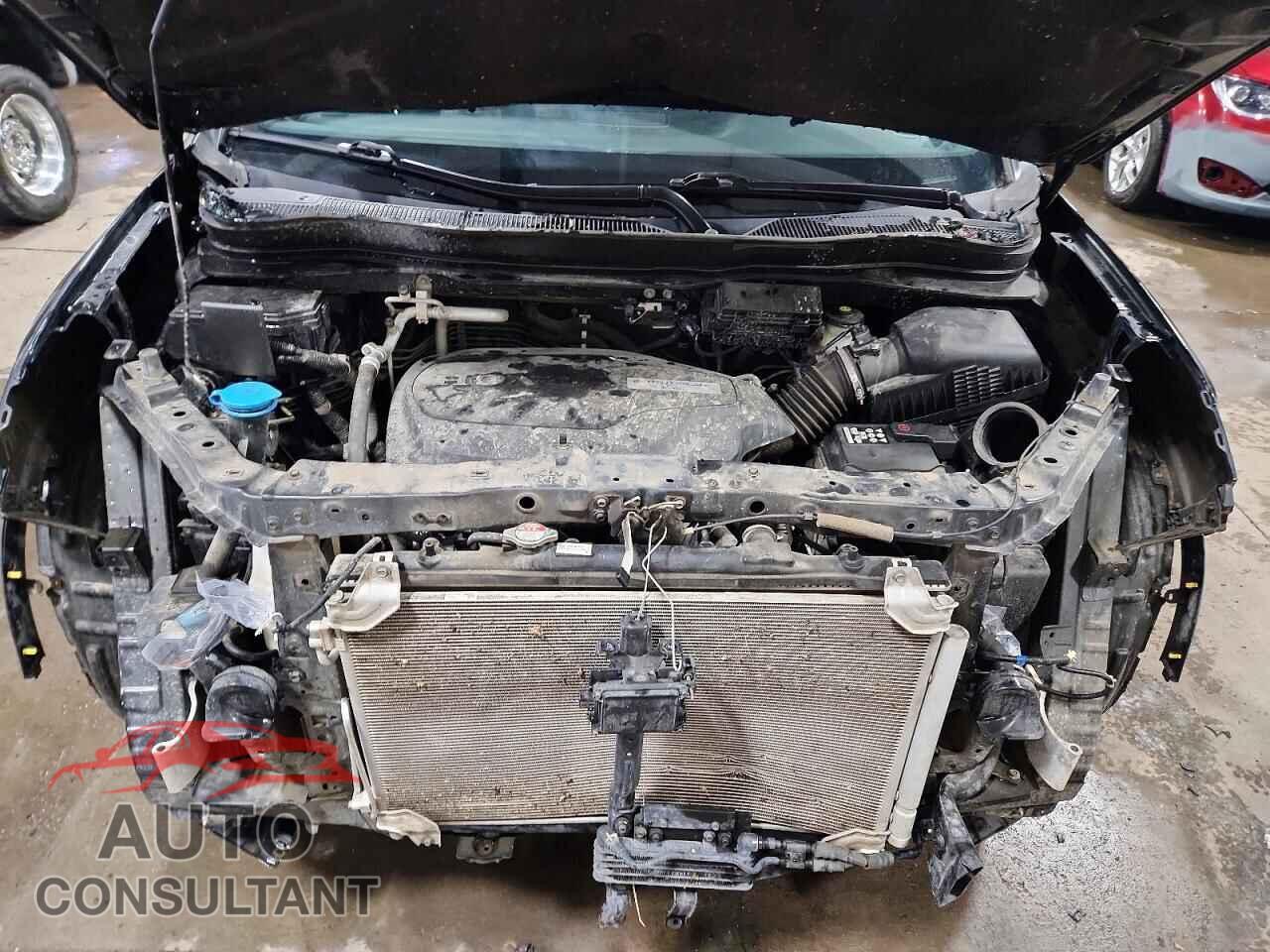 HONDA RIDGELINE 2020 - 5FPYK3F85LB007681