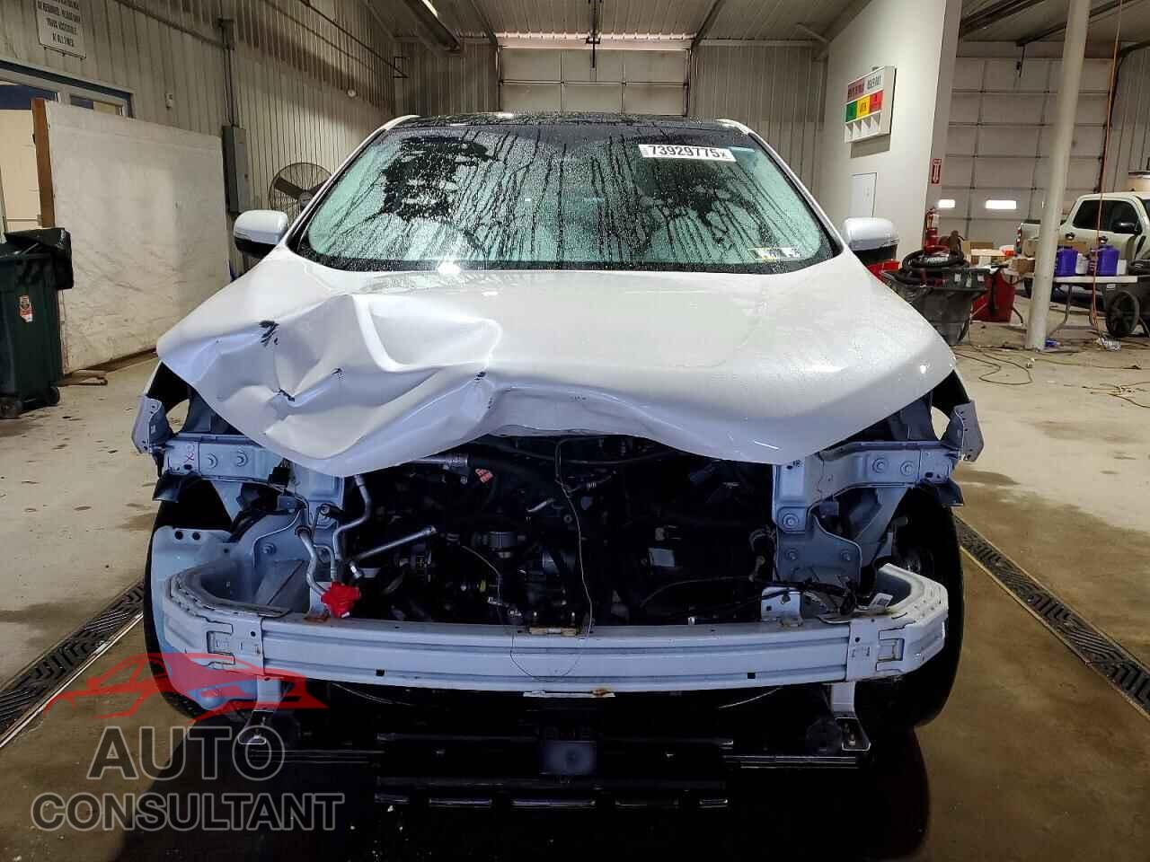 FORD EDGE 2019 - 2FMPK4K90KBC70063
