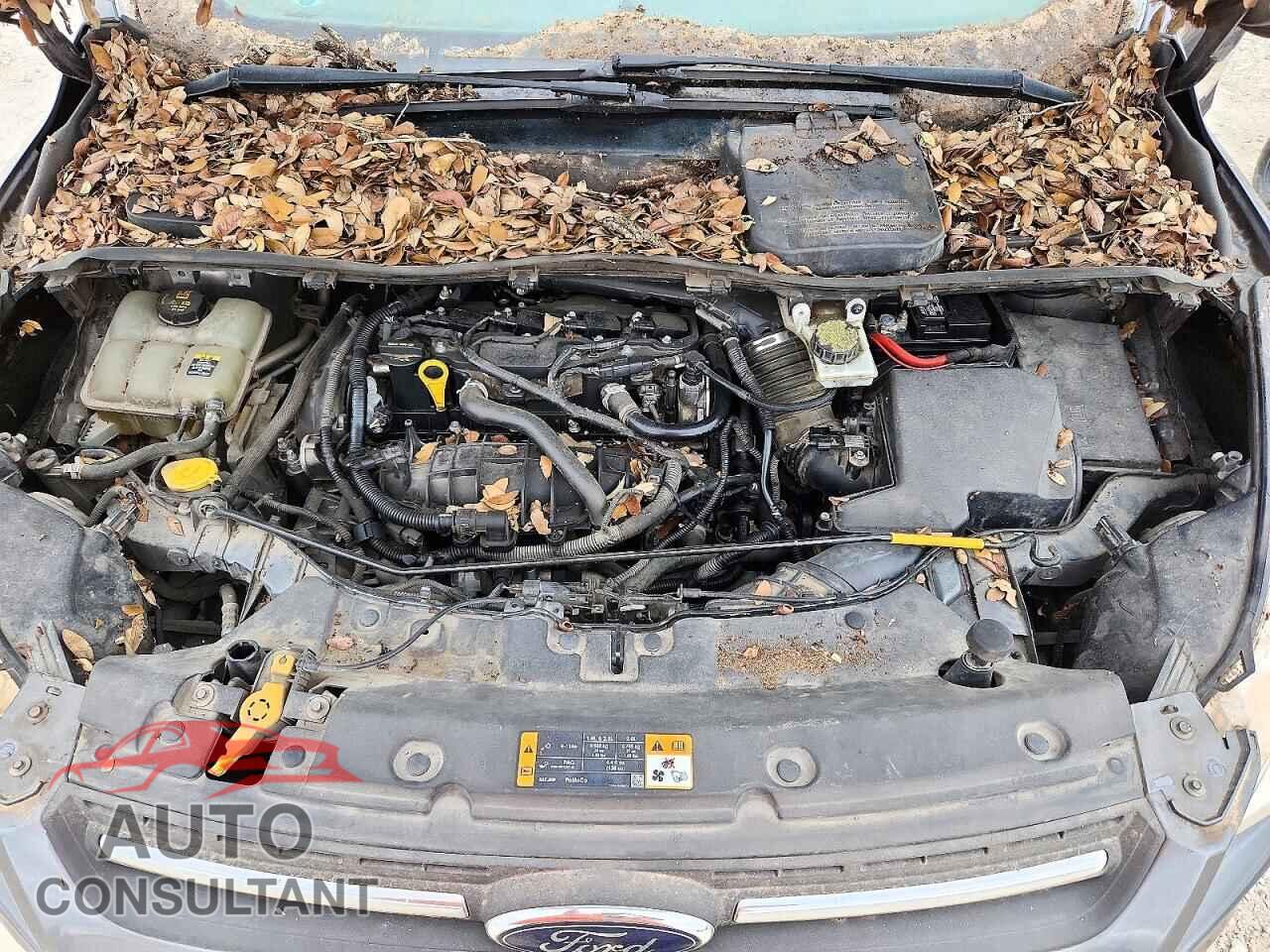 FORD ESCAPE 2013 - 1FMCU0GX5DUC78391