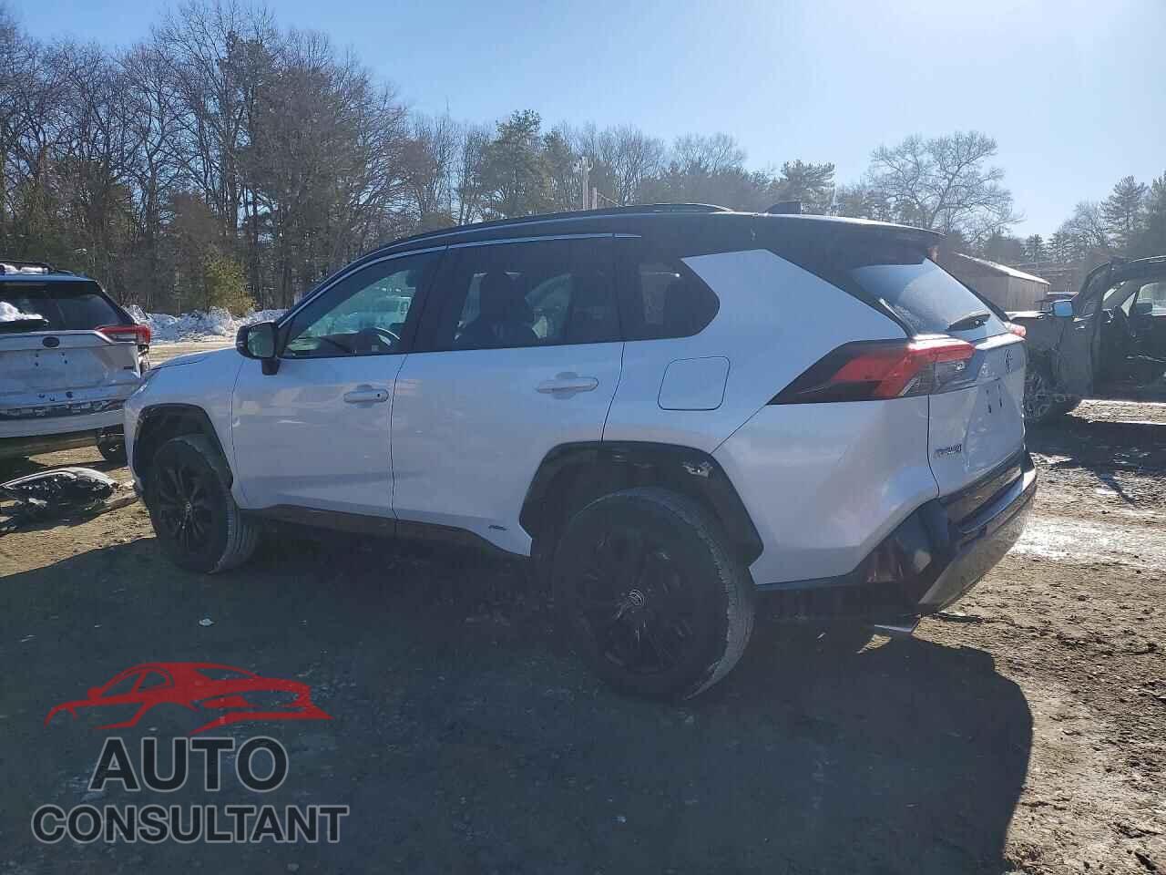 TOYOTA RAV4 2024 - 4T3E6RFVXRU146247