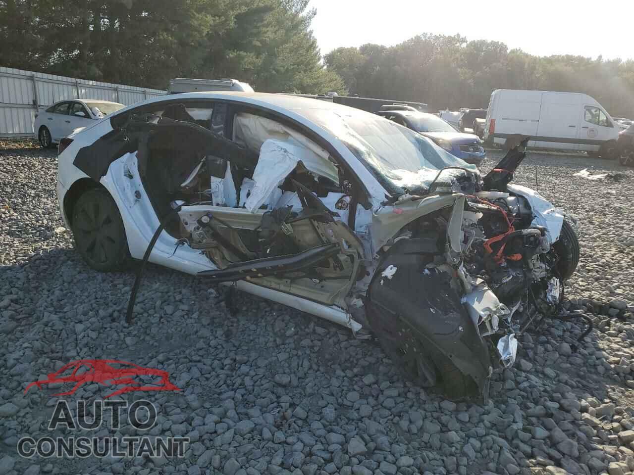 TESLA MODEL 3 2024 - 5YJ3E1EB1RF790289