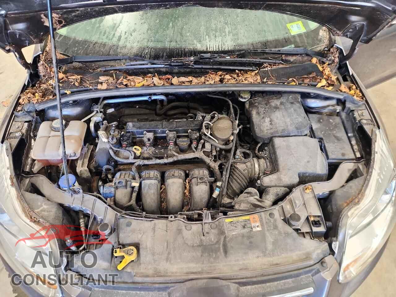 FORD FOCUS 2013 - 1FADP3F28DL206443