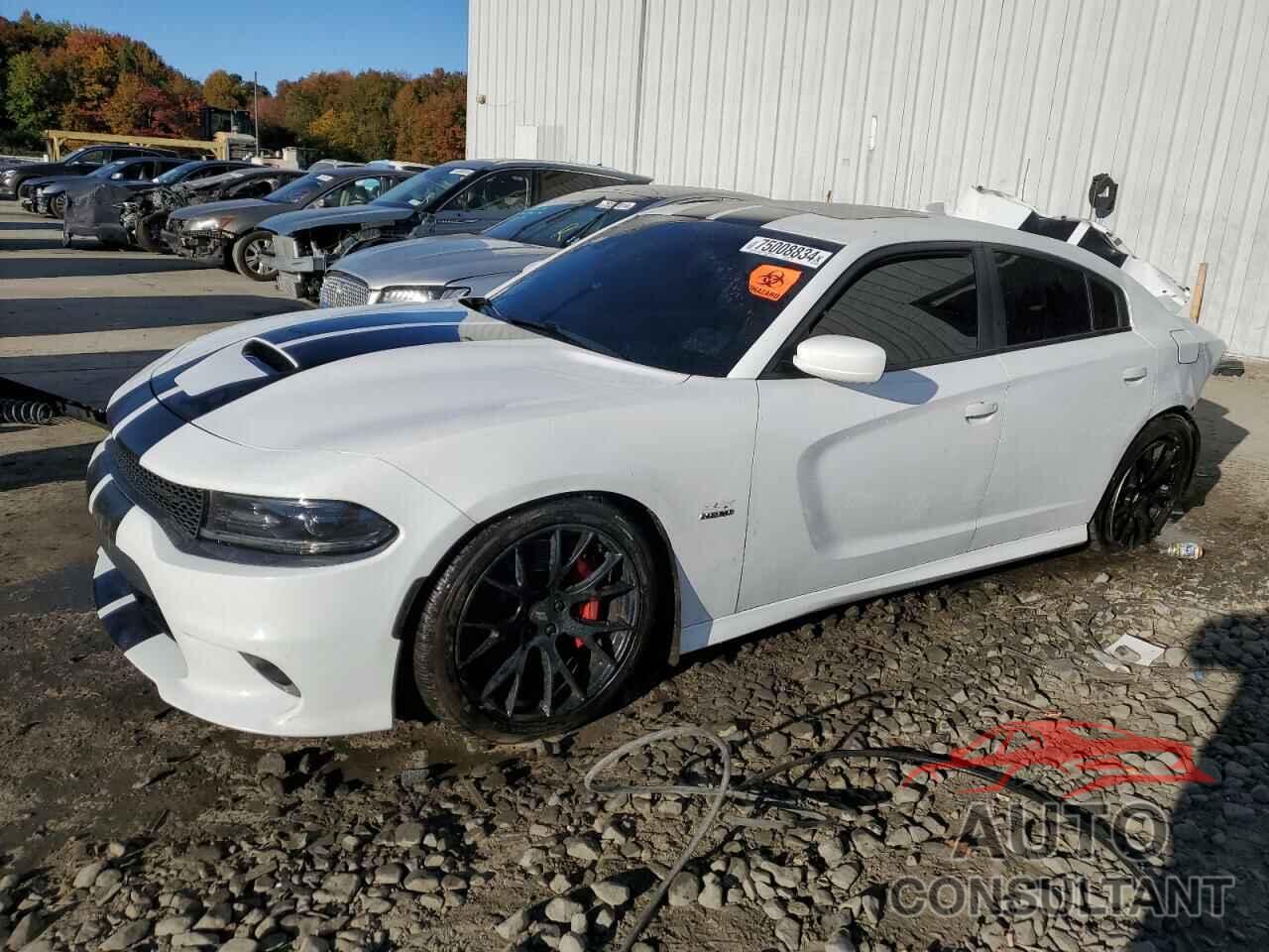 DODGE CHARGER 2018 - 2C3CDXGJ3JH172792