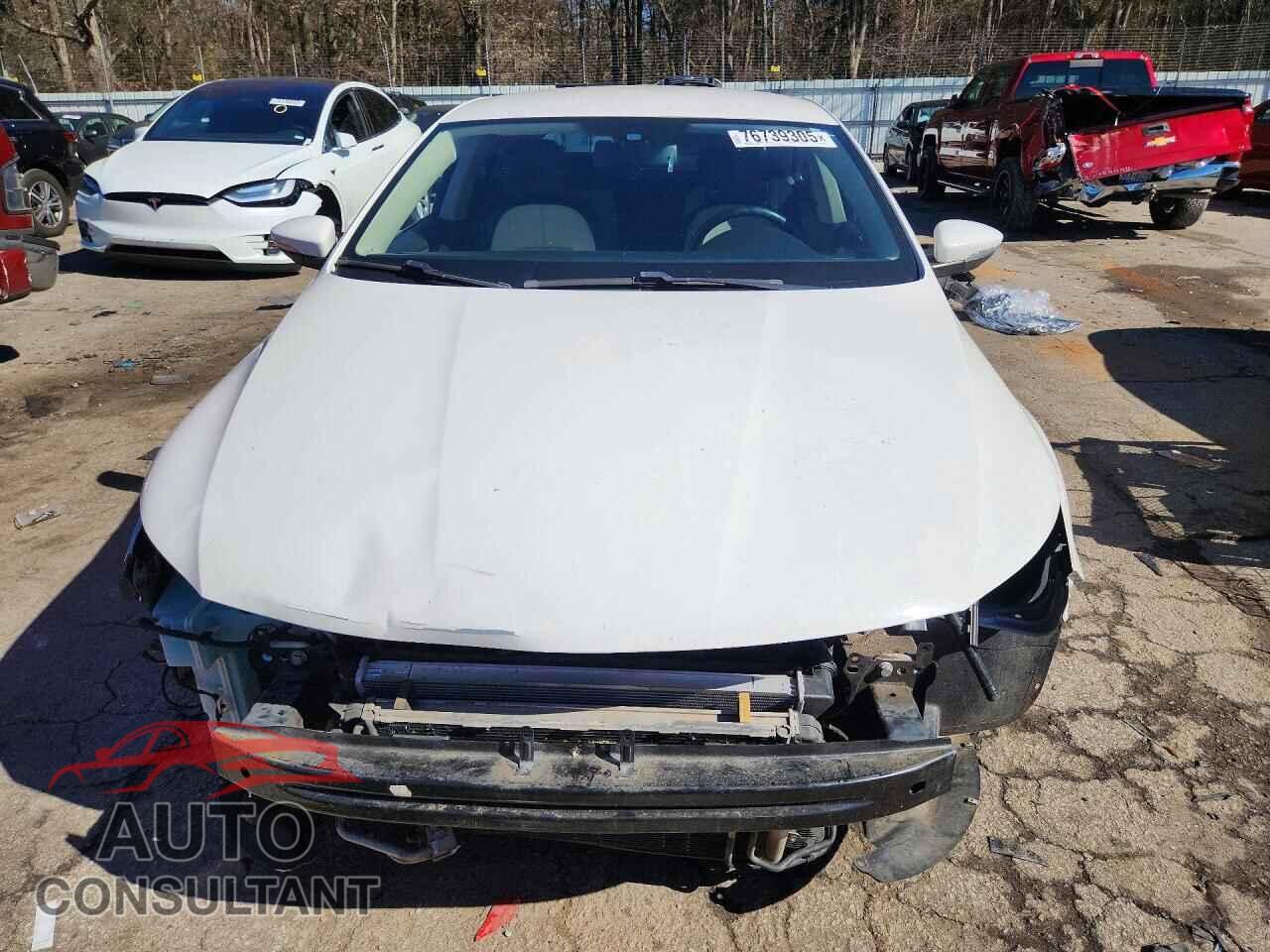 VOLKSWAGEN CC 2009 - WVWML73C19E545681