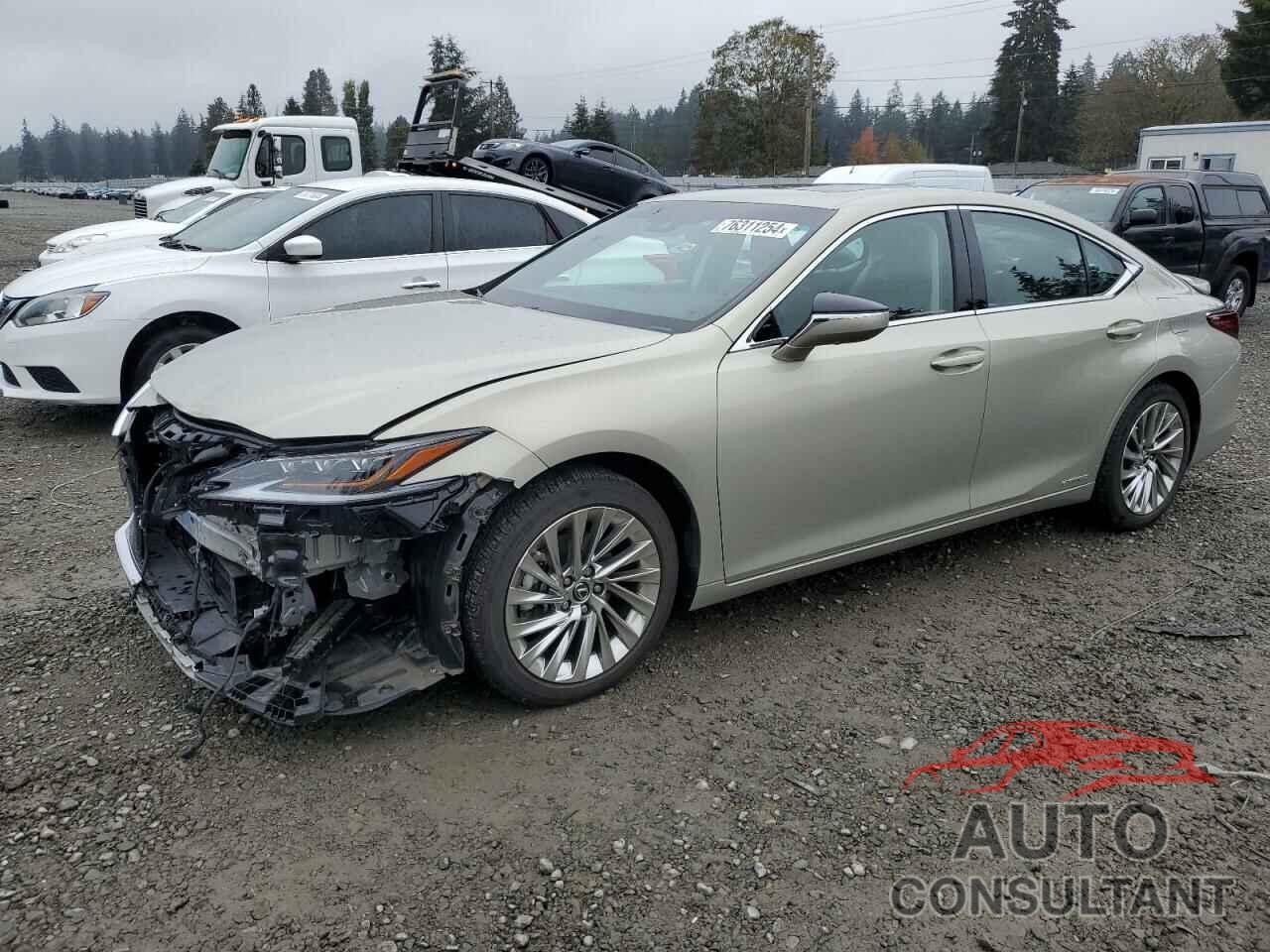 LEXUS ES300 2021 - 58AEA1C11MU006664