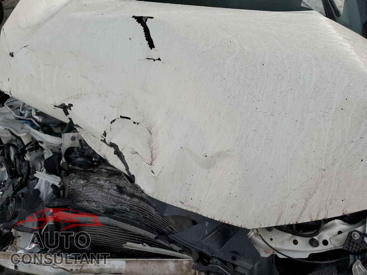 HONDA CIVIC 2014 - 19XFB2F55EE021332