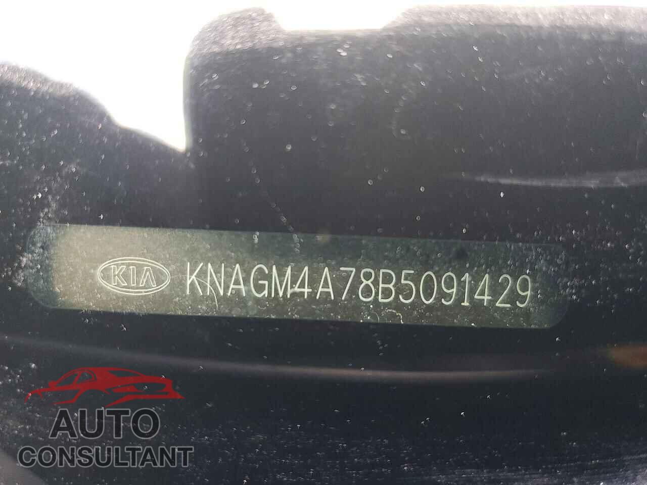 KIA OPTIMA 2011 - KNAGM4A78B5091429
