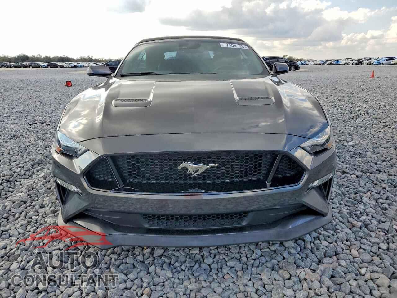FORD MUSTANG 2019 - 1FATP8FF8K5132826