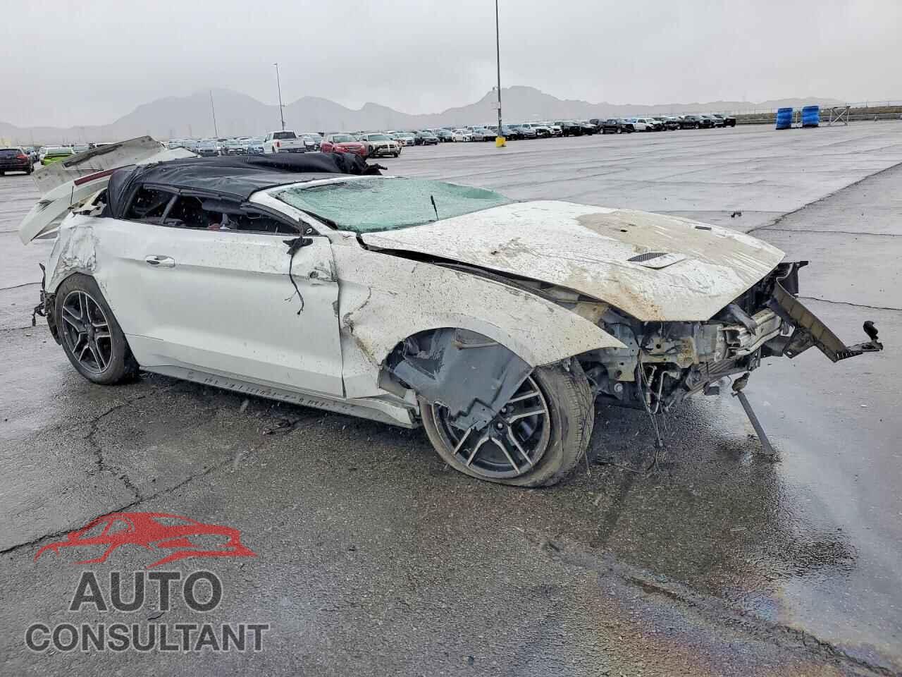 FORD ALL Models 2019 - 1FATP8UH6K5170995