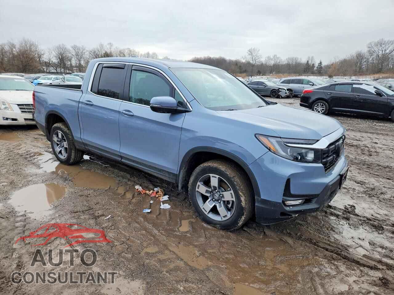 HONDA RIDGELINE 2024 - 5FPYK3F53RB018953