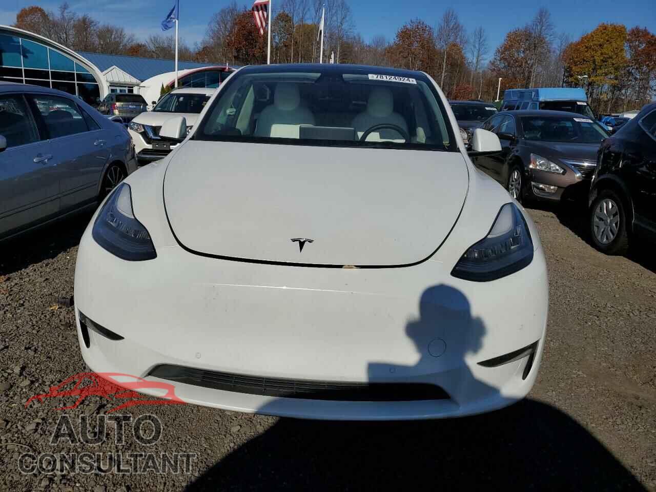TESLA MODEL Y 2021 - 5YJYGAEE1MF144429