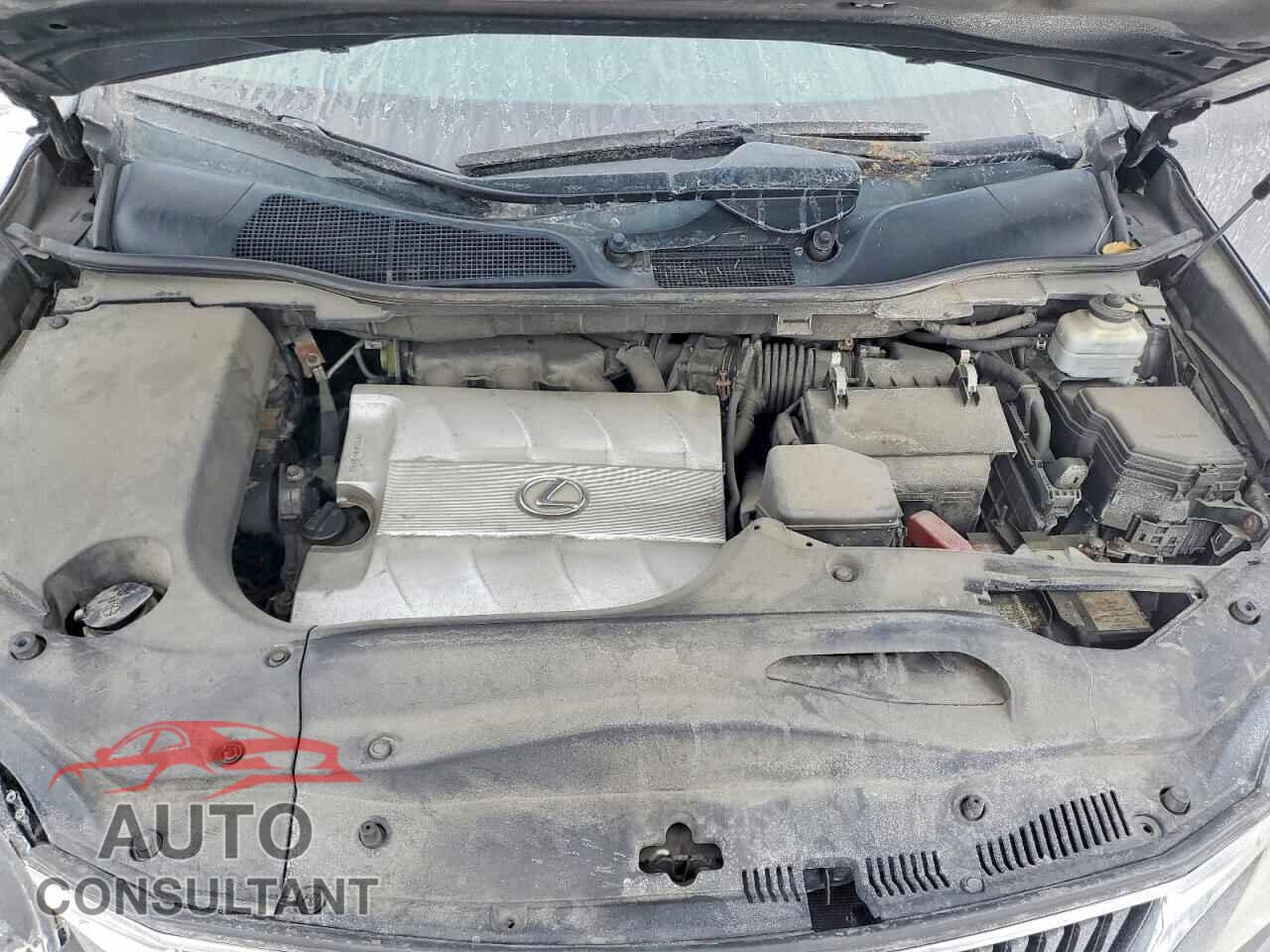 LEXUS RX350 2010 - 2T2BK1BA8AC010762
