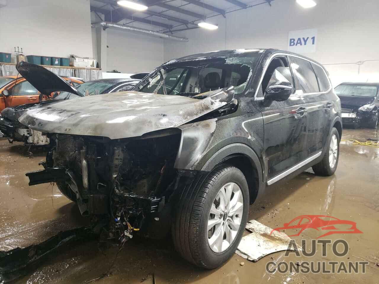 KIA TELLURIDE 2022 - 5XYP24HC8NG285806