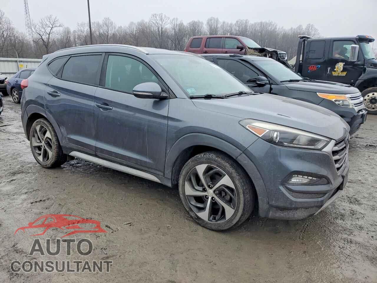 HYUNDAI TUCSON 2017 - KM8J3CA23HU496151