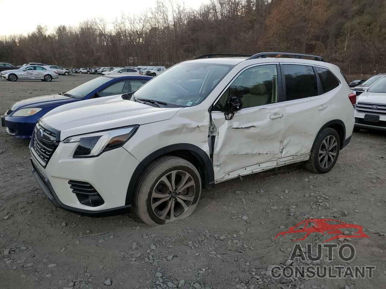 SUBARU FORESTER 2022 - JF2SKAPC9NH445260