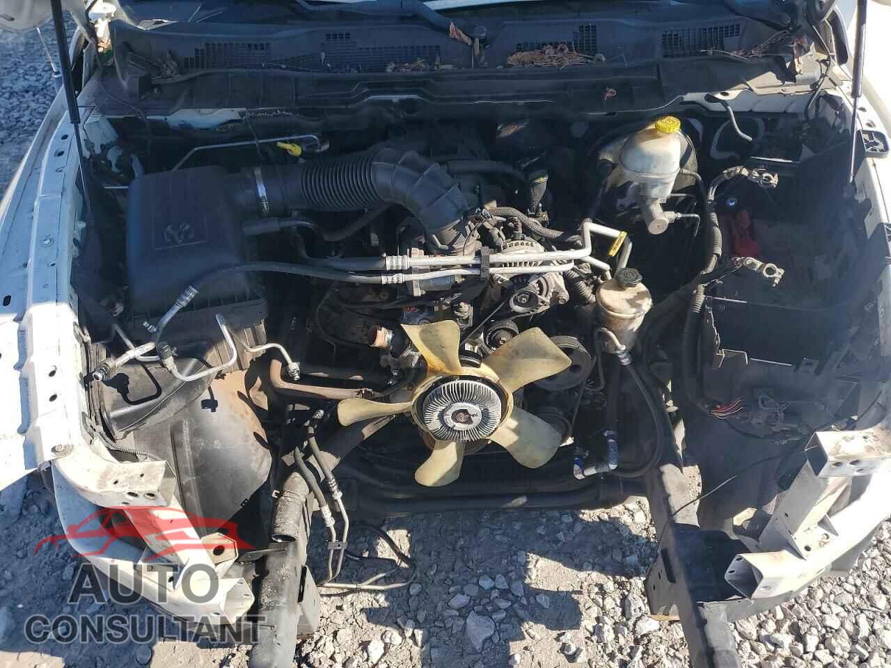 DODGE RAM 1500 2009 - 1D3HB13TX9S741063