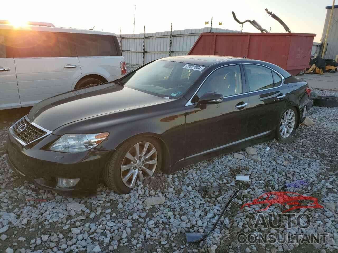 LEXUS LS460 2010 - JTHCL5EF5A5005812