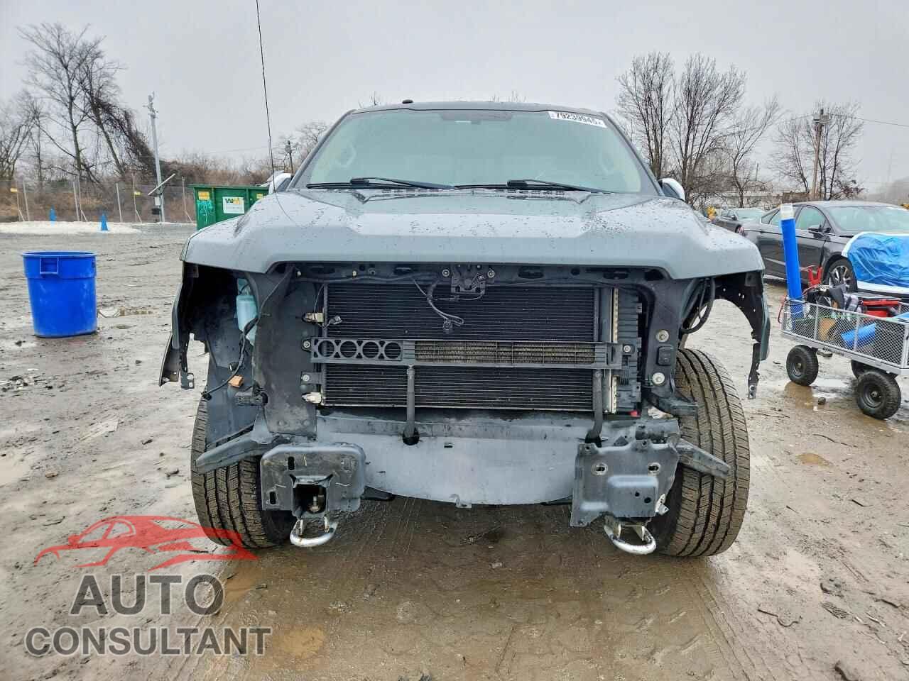 FORD F150 2015 - 1FTEW1EF3FFC84401