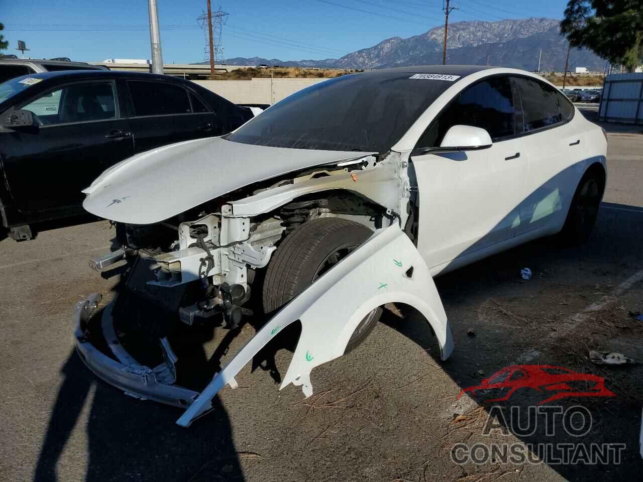 TESLA MODEL 3 2021 - 5YJ3E1EA1MF066408