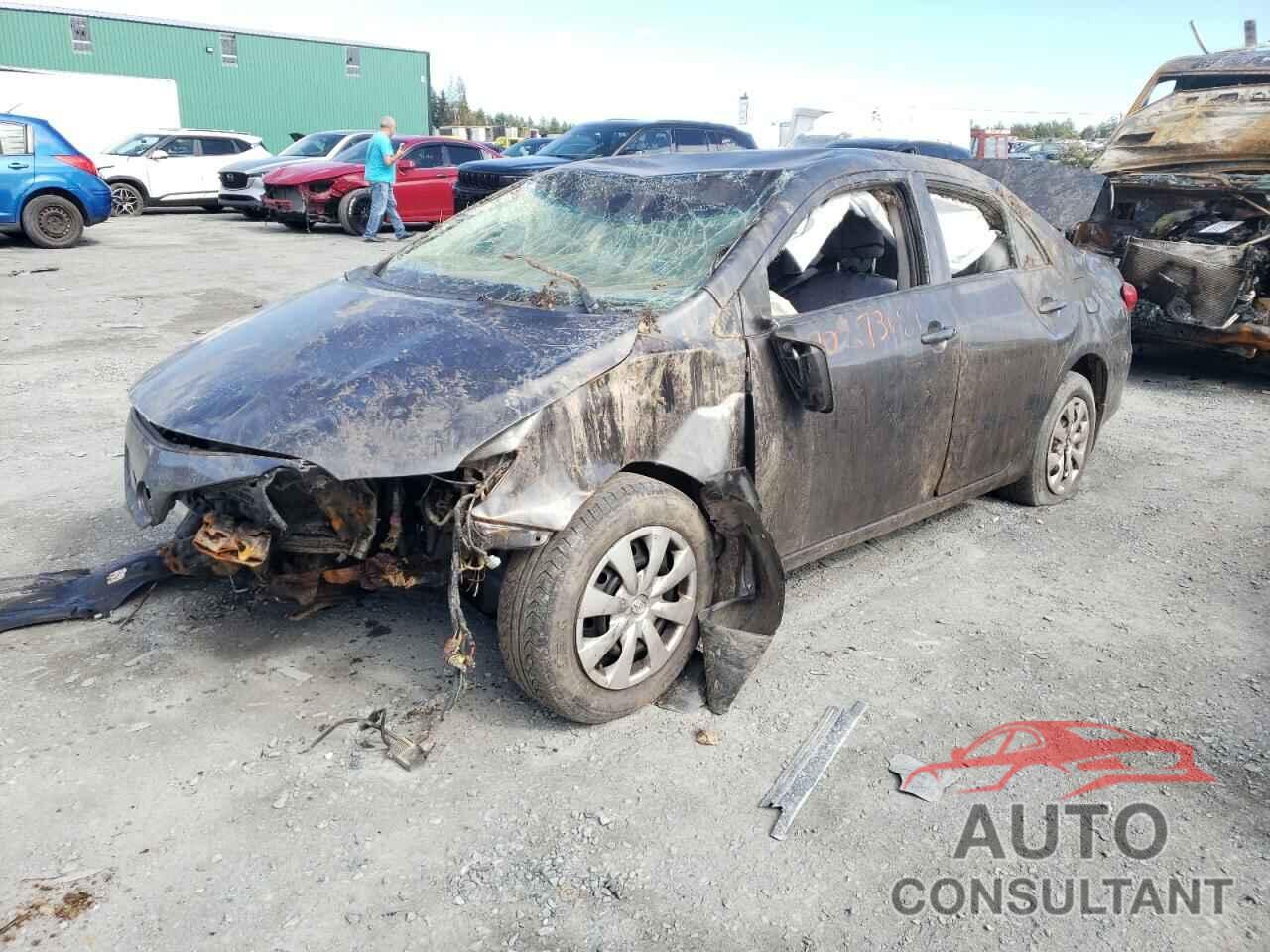 TOYOTA COROLLA 2011 - 2T1BU4EE8BC658635